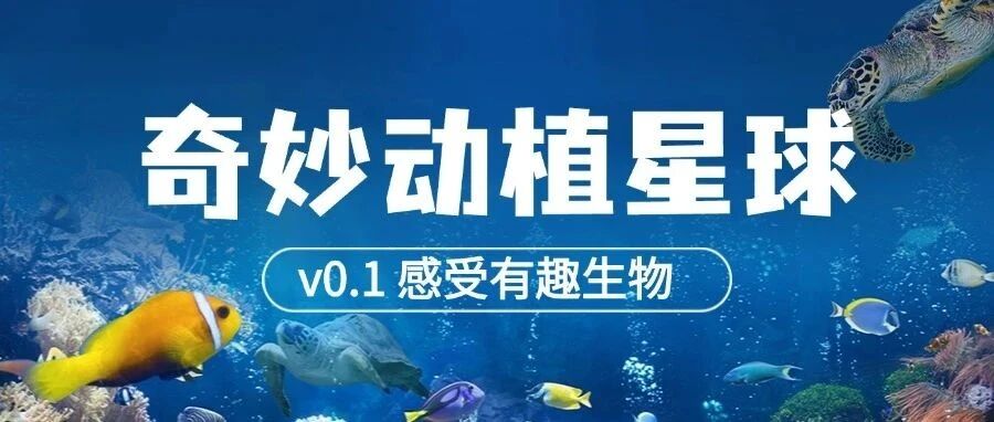 我做了一个科普小程序：奇妙动植星球｜从《地球脉动》到指尖交互！ 封面